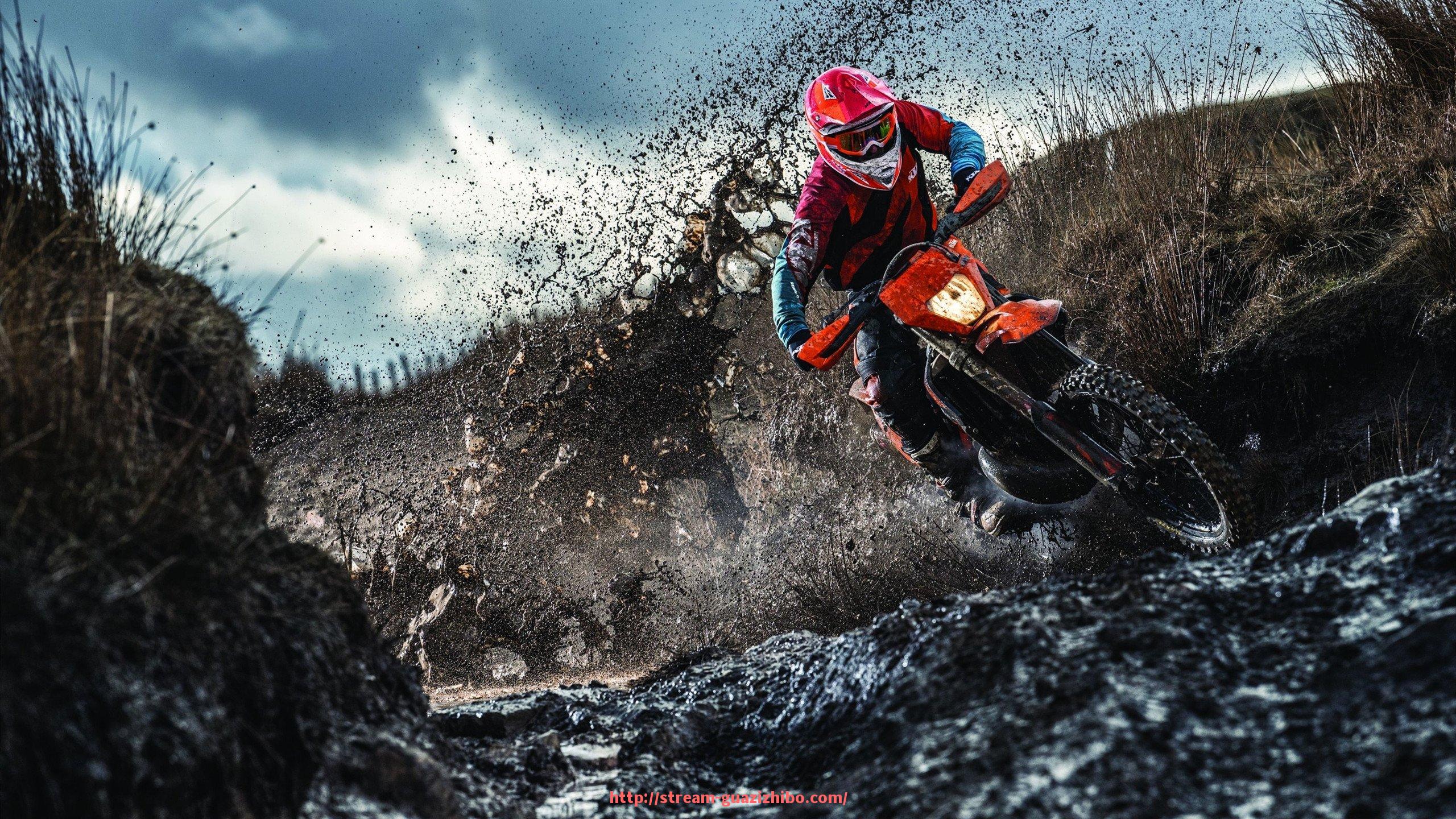 瓜子直播-保德龙健身器材系列介绍及适用训练项目