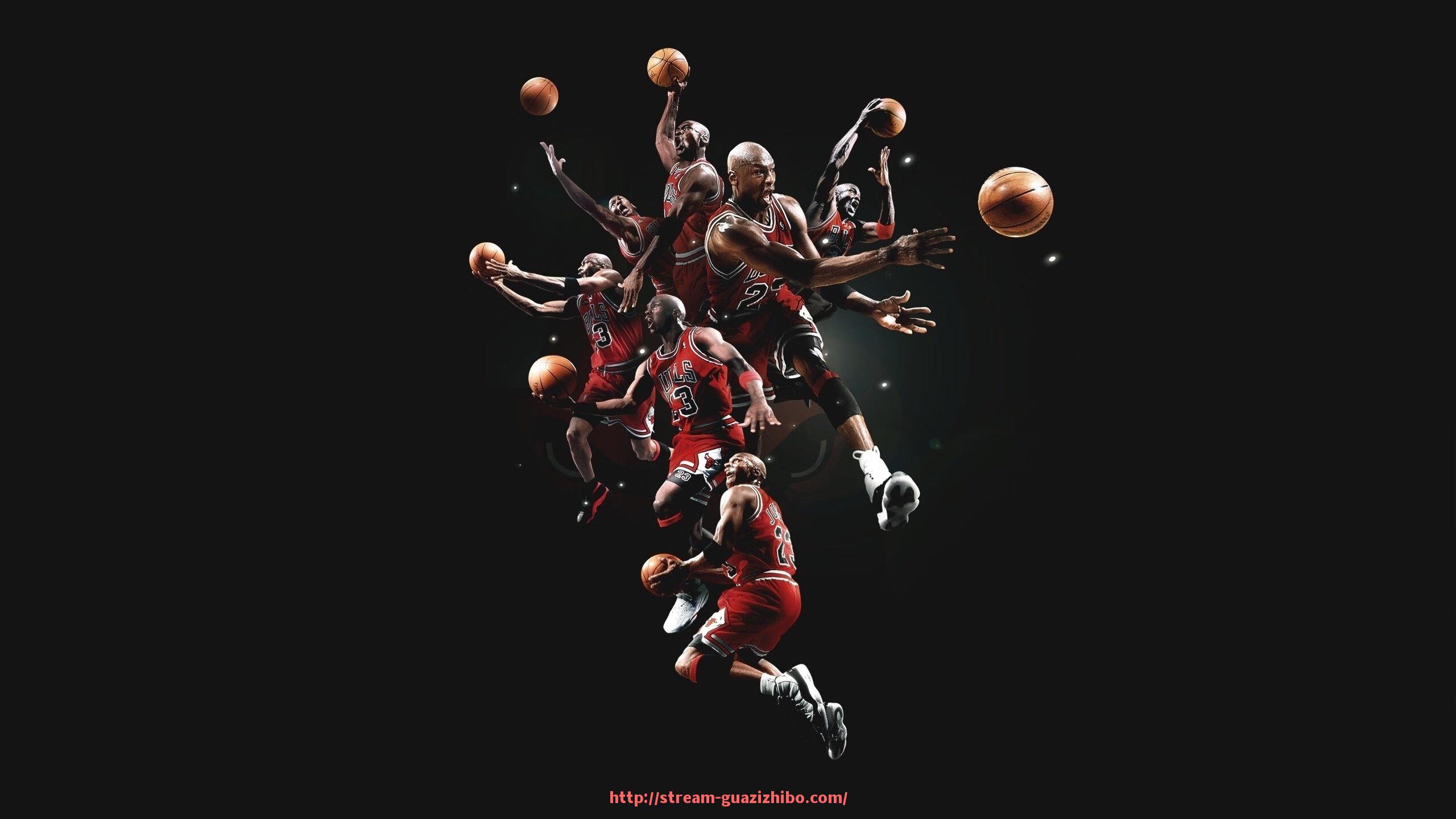 瓜子直播-保德龙健身器材系列介绍及适用训练项目