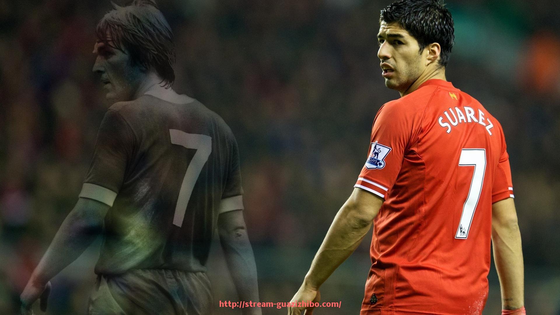 瓜子直播-哪些健身器材适合练胸肌，效果最佳